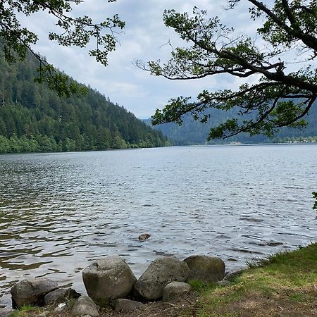 Charmant Chalet, Spacieux, Proche Du Lac, Vue Sur La Montagne Gérardmer Kültér fotó