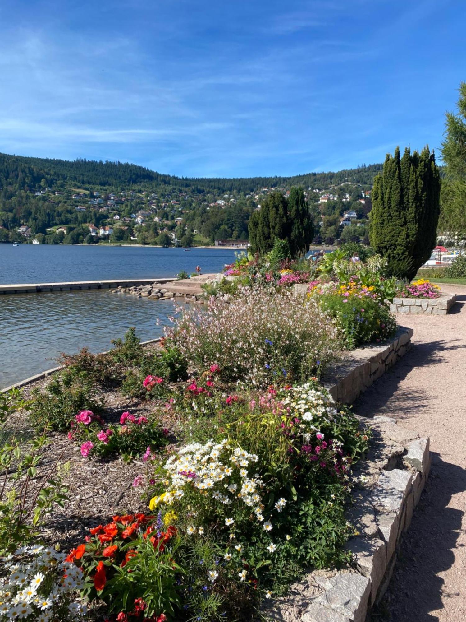 Charmant Chalet, Spacieux, Proche Du Lac, Vue Sur La Montagne Gérardmer Kültér fotó